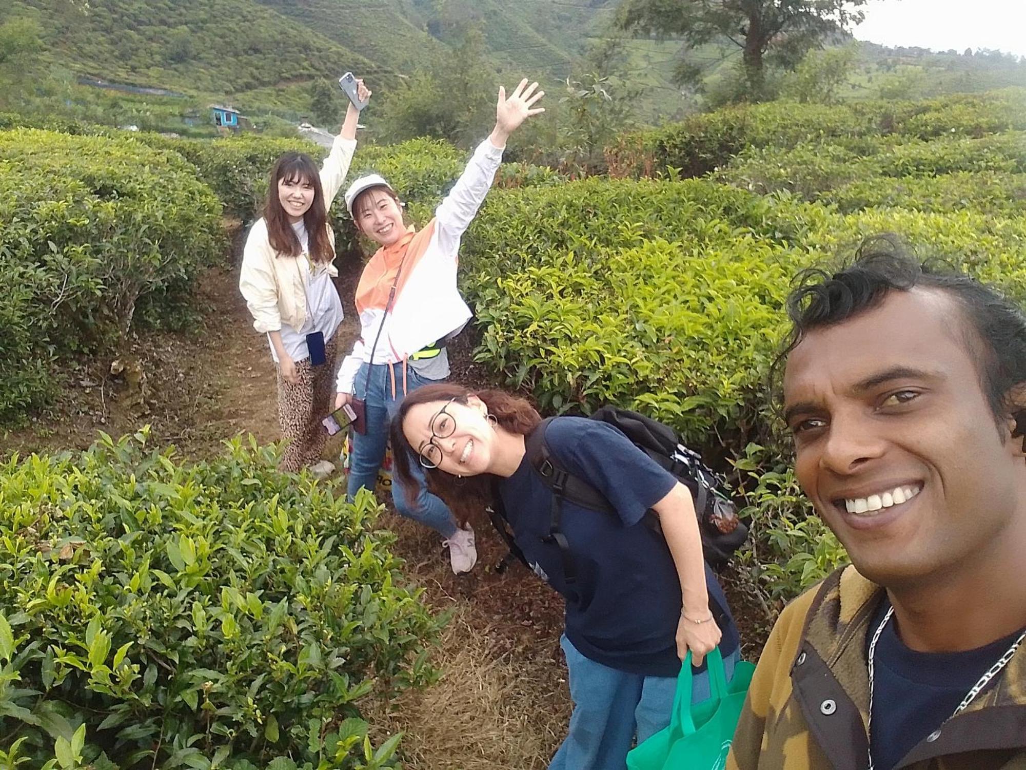Hikers Inn Nuwara Eliya Dış mekan fotoğraf